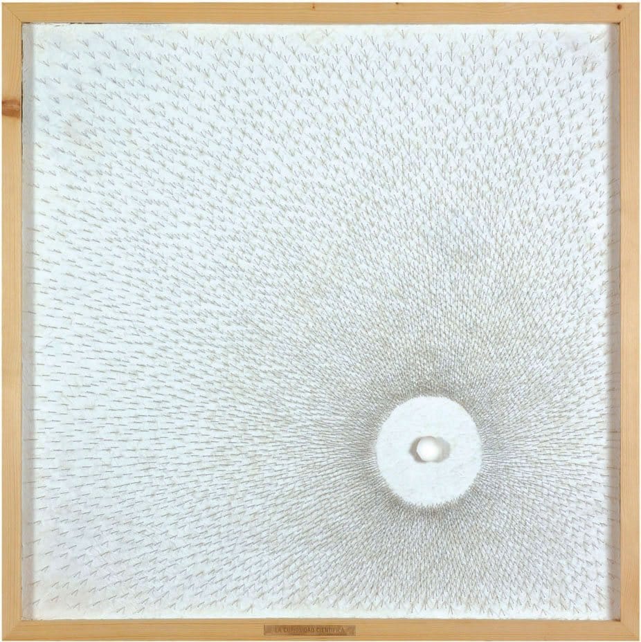 Curiosidad científica — The Crowd Movement